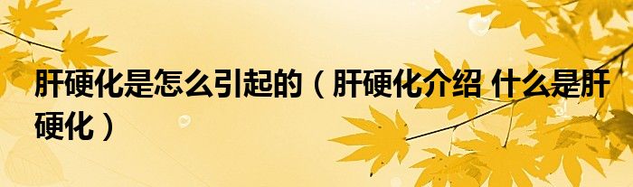 肝硬化是怎么引起的（肝硬化介紹 什么是肝硬化）