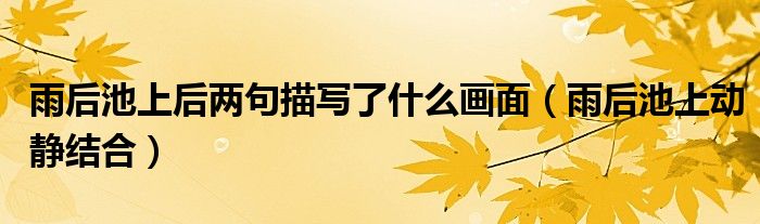 雨后池上后兩句描寫了什么畫面（雨后池上動(dòng)靜結(jié)合）