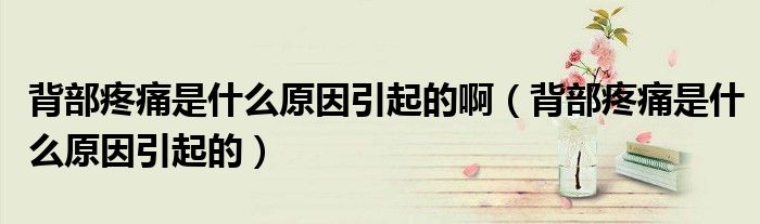 背部疼痛是什么原因引起的?。ū巢刻弁词鞘裁丛蛞鸬模?class='thumb lazy' /></a>
		    <header>
		<h2><a  href=