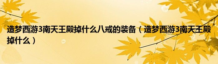 造夢(mèng)西游3南天王殿掉什么八戒的裝備（造夢(mèng)西游3南天王殿掉什么）