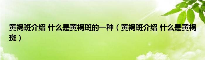 黃褐斑介紹 什么是黃褐斑的一種（黃褐斑介紹 什么是黃褐斑）
