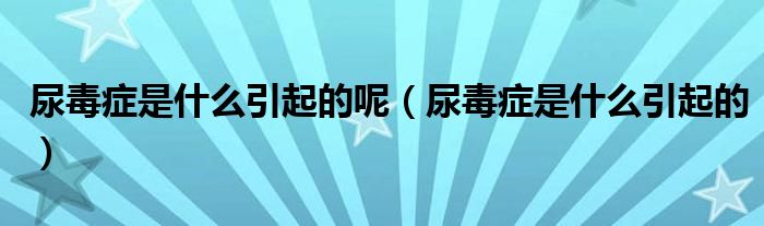 尿毒癥是什么引起的呢(尿毒癥是什么引起的)