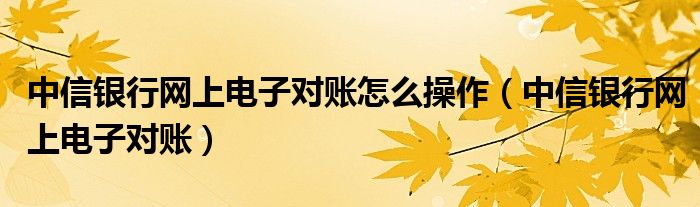中信銀行網(wǎng)上電子對賬怎么操作（中信銀行網(wǎng)上電子對賬）