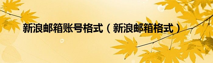 新浪郵箱賬號格式（新浪郵箱格式）