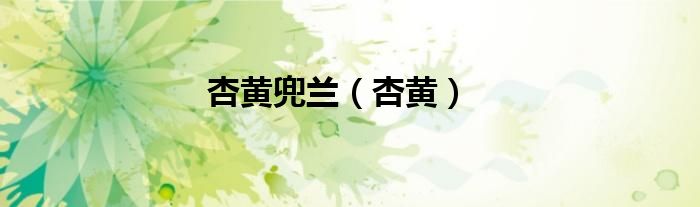 杏黃兜蘭（杏黃）