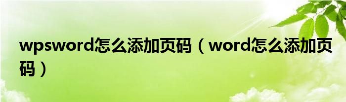 wpsword怎么添加頁碼（word怎么添加頁碼）