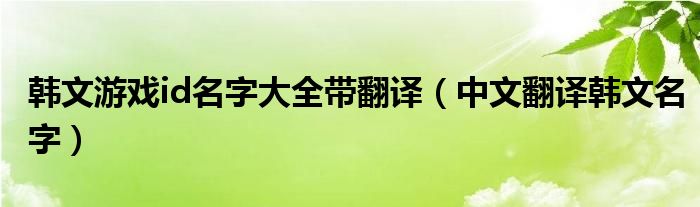 韓文游戲id名字大全帶翻譯（中文翻譯韓文名字）
