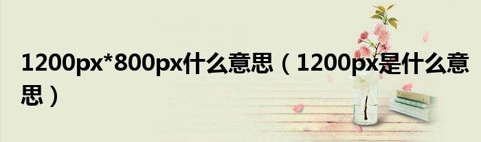 1200px*800px什么意思（1200px是什么意思）