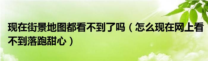 現(xiàn)在街景地圖都看不到了嗎（怎么現(xiàn)在網(wǎng)上看不到落跑甜心）