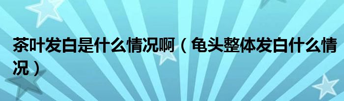 茶葉發(fā)白是什么情況?。旑^整體發(fā)白什么情況）