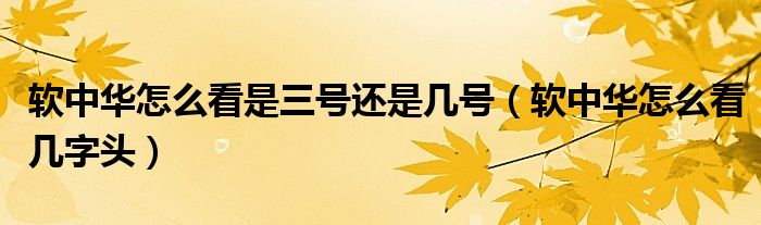 軟中華怎么看是三號還是幾號（軟中華怎么看幾字頭）