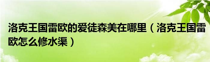 洛克王國雷歐的愛徒森美在哪里（洛克王國雷歐怎么修水渠）
