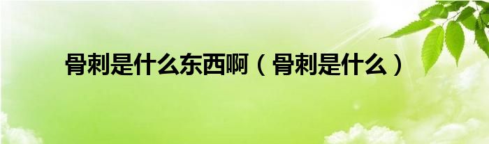 骨刺是什么東西?。ü谴淌鞘裁矗?class='thumb lazy' /></a>
		    <header>
		<h2><a  href=