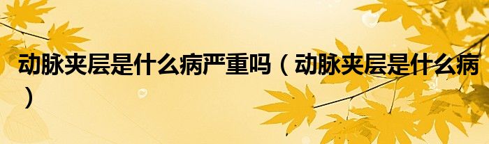 動脈夾層是什么病嚴(yán)重嗎（動脈夾層是什么?。?class='thumb lazy' /></a>
		    <header>
		<h2><a  href=
