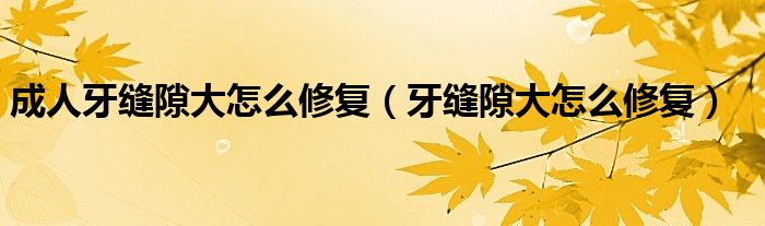 成人牙縫隙大怎么修復（牙縫隙大怎么修復）