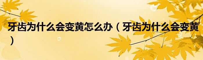 牙齒為什么會(huì)變黃怎么辦（牙齒為什么會(huì)變黃）