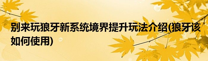 別來玩狼牙新系統(tǒng)境界提升玩法介紹(狼牙該如何使用)