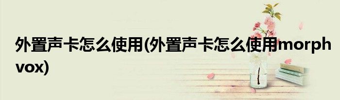 外置聲卡怎么使用(外置聲卡怎么使用morphvox)