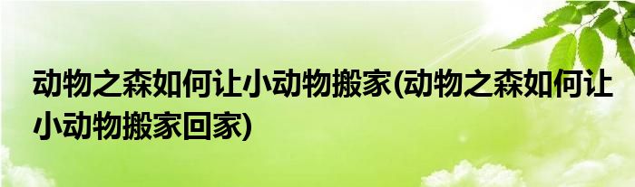 動物之森如何讓小動物搬家(動物之森如何讓小動物搬家回家)