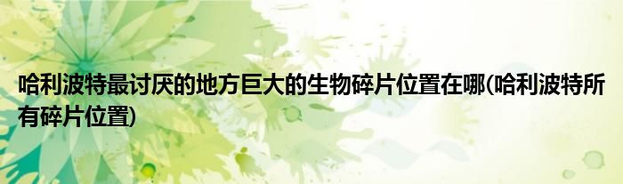 哈利波特最討厭的地方巨大的生物碎片位置在哪(哈利波特所有碎片位置)