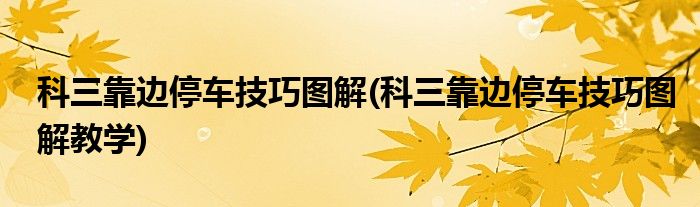 科三靠邊停車技巧圖解(科三靠邊停車技巧圖解教學)