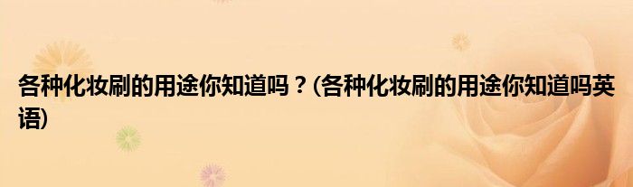 各種化妝刷的用途你知道嗎？(各種化妝刷的用途你知道嗎英語)