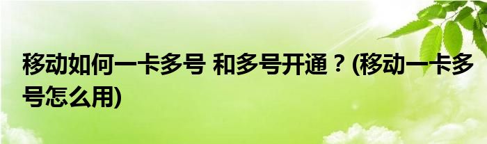 移動如何一卡多號 和多號開通？(移動一卡多號怎么用)
