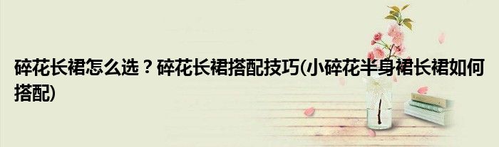 碎花長(zhǎng)裙怎么選？碎花長(zhǎng)裙搭配技巧(小碎花半身裙長(zhǎng)裙如何搭配)