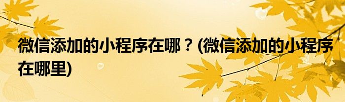 微信添加的小程序在哪？(微信添加的小程序在哪里)