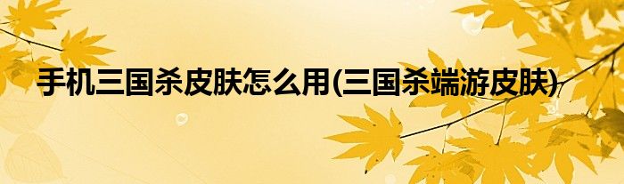 手機(jī)三國(guó)殺皮膚怎么用(三國(guó)殺端游皮膚)