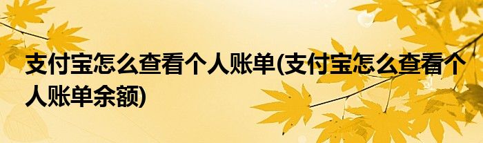 支付寶怎么查看個人賬單(支付寶怎么查看個人賬單余額)
