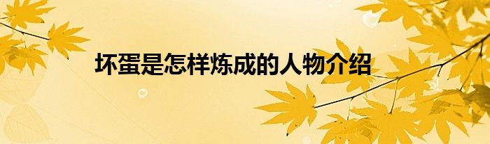 壞蛋是怎樣煉成的人物介紹