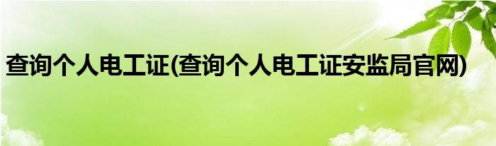 查詢個人電工證(查詢個人電工證安監(jiān)局官網(wǎng))