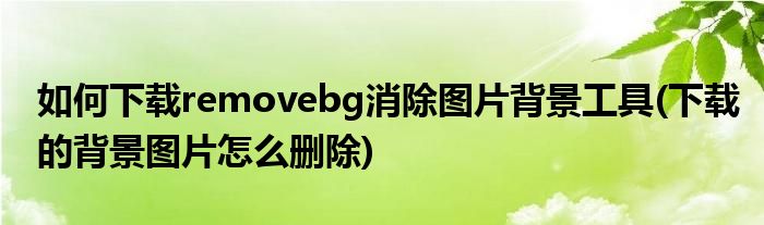 如何下載removebg消除圖片背景工具(下載的背景圖片怎么刪除)