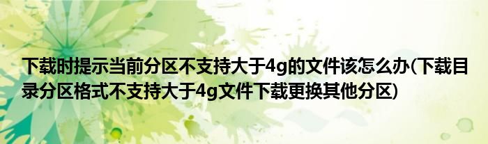 下載時提示當前分區(qū)不支持大于4g的文件該怎么辦(下載目錄分區(qū)格式不支持大于4g文件下載更換其他分區(qū))
