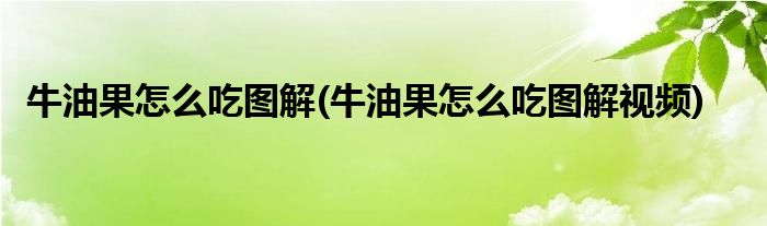 牛油果怎么吃圖解(牛油果怎么吃圖解視頻)