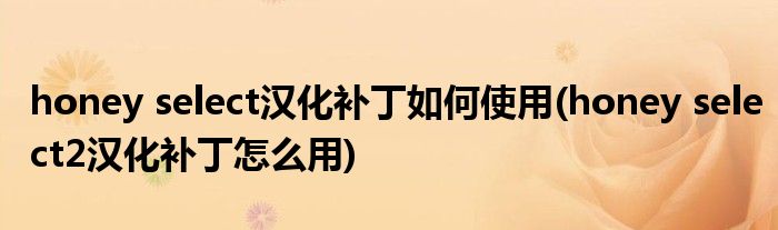 honey select漢化補丁如何使用(honey select2漢化補丁怎么用)