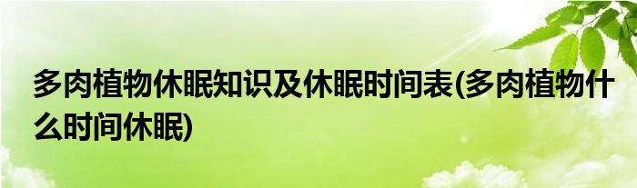 多肉植物休眠知識及休眠時間表(多肉植物什么時間休眠)