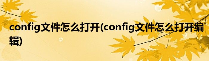 config文件怎么打開(config文件怎么打開編輯)