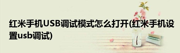 紅米手機USB調(diào)試模式怎么打開(紅米手機設置usb調(diào)試)