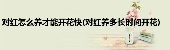 對紅怎么養(yǎng)才能開花快(對紅養(yǎng)多長時(shí)間開花)