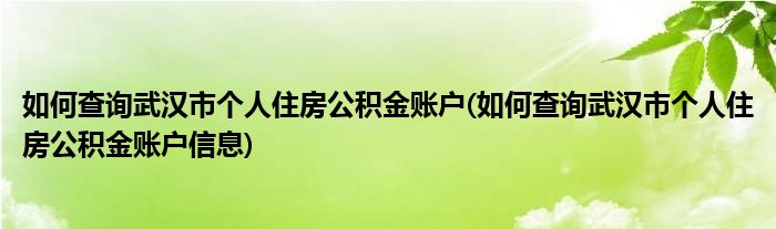 如何查詢武漢市個(gè)人住房公積金賬戶(如何查詢武漢市個(gè)人住房公積金賬戶信息)