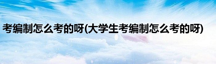 考編制怎么考的呀(大學(xué)生考編制怎么考的呀)