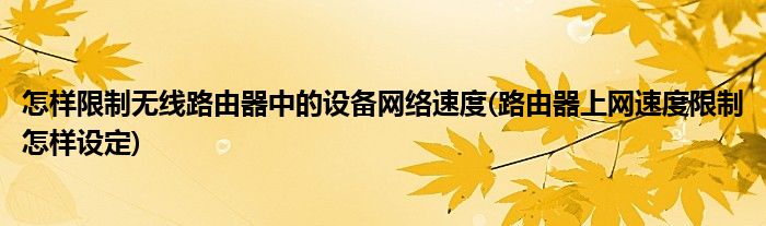 怎樣限制無(wú)線路由器中的設(shè)備網(wǎng)絡(luò)速度(路由器上網(wǎng)速度限制怎樣設(shè)定)