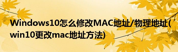Windows10怎么修改MAC地址/物理地址(win10更改mac地址方法)
