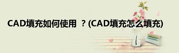 CAD填充如何使用 ？(CAD填充怎么填充)