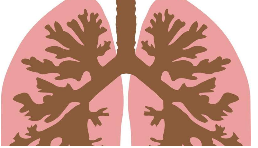 神秘分子揭開：新發(fā)現(xiàn)的蛋白質(zhì)可拯救氣道免受困擾