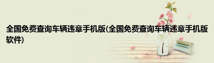 全國免費查詢車輛違章手機版(全國免費查詢車輛違章手機版軟件)