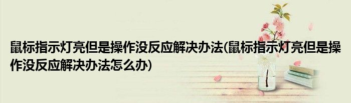 鼠標(biāo)指示燈亮但是操作沒反應(yīng)解決辦法(鼠標(biāo)指示燈亮但是操作沒反應(yīng)解決辦法怎么辦)