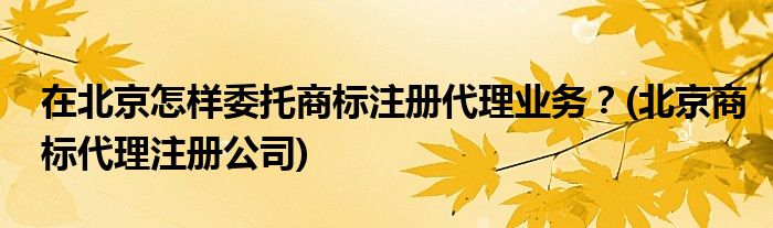 在北京怎樣委托商標(biāo)注冊代理業(yè)務(wù)？(北京商標(biāo)代理注冊公司)